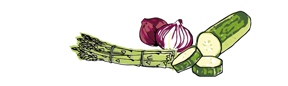 vegetable-illustration-irms