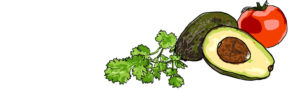 avocado-tomato-illustration