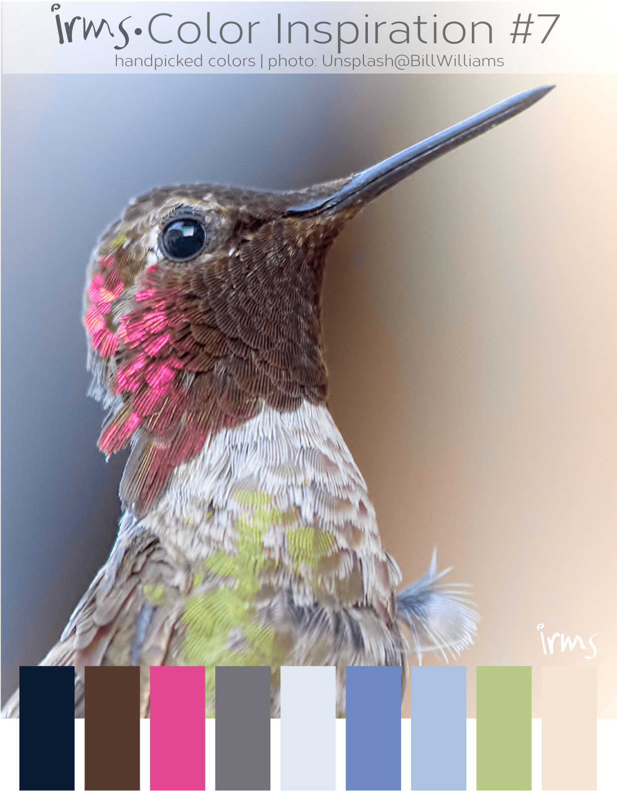 colorinspiration-bird