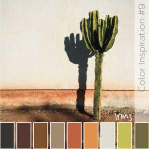 lonely-cactus-color
