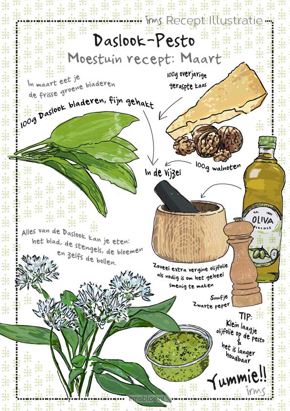 recipe-elderflower-syrup-irms