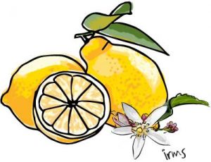 citroenen-irms