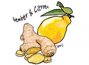 citroen-gember-irmsblog